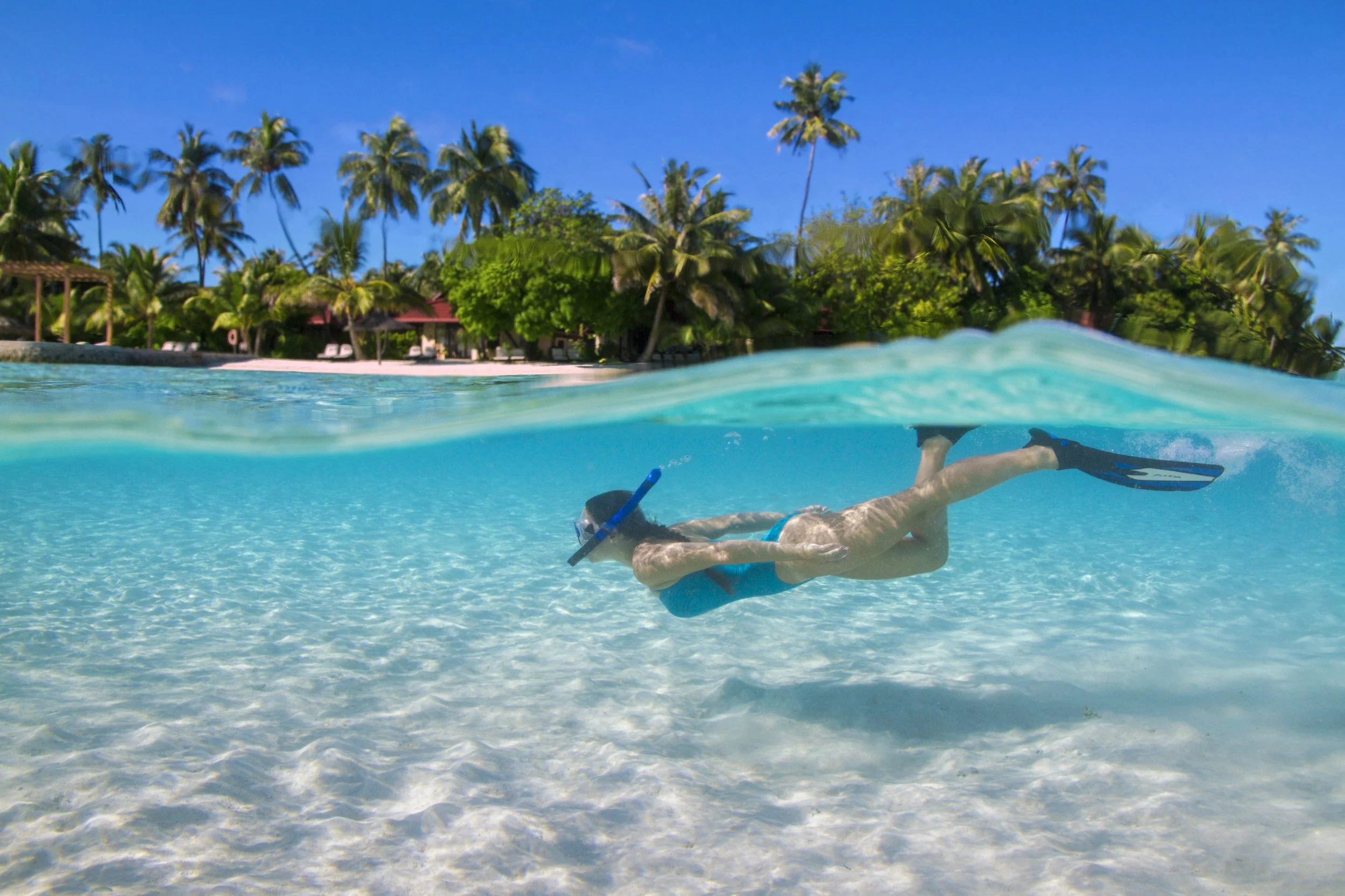 Read more about the article The Ultimate Guide to Pool Maintenance: Tips for Every Season